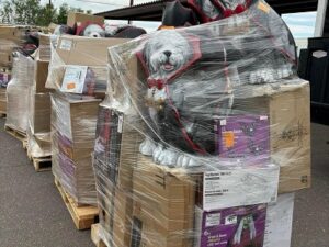 Wholesale Halloween Closeouts pallets - Image 7