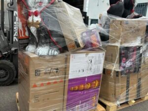 Wholesale Halloween Closeouts pallets - Image 8