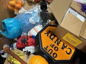 Wholesale Halloween Closeouts pallets
